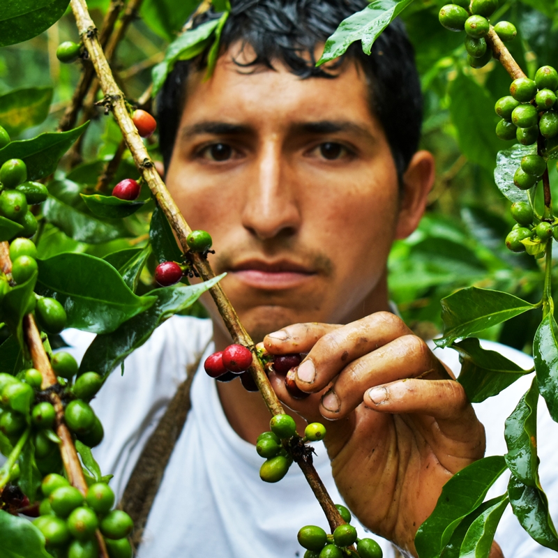 Notre artisan favori