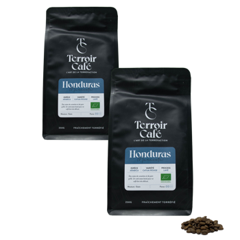 Terroir Café - Honduras Bio, Maracala 1kg - Pack 2 × Grains Pochette 1 kg