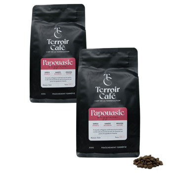 Terroir Café - Papouasie, Raggiana 1kg - Pack 2 × Grains Pochette 1 kg