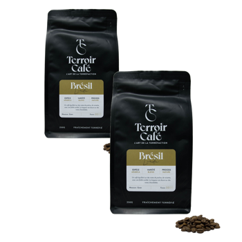 Terroir Café - Brasilien, Linda 1kg - Pack 2 × Bohnen Beutel 1 kg