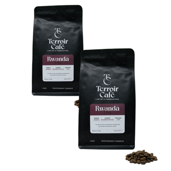 Terroir Café - Rwanda, Titus 1kg - Pack 2 × Grains Pochette 1 kg