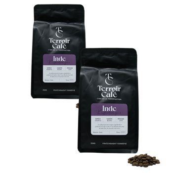 Terroir Café - Inde, Kusha 1kg - Pack 2 × Grains Pochette 1 kg